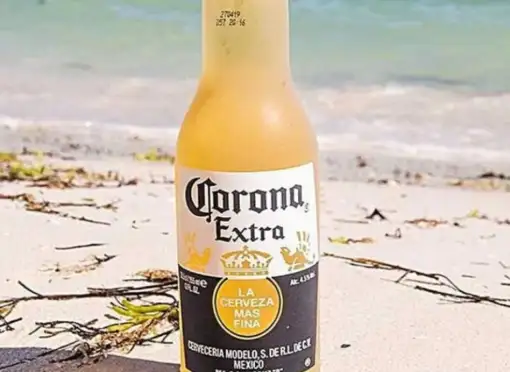 Cervezas importadas