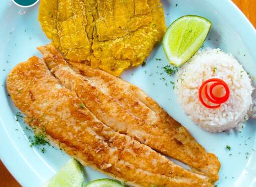 Filete de tilapia